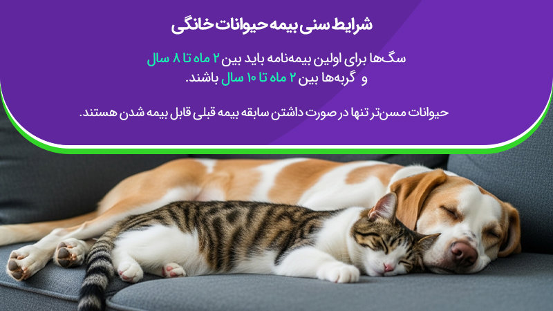 شرایط سنی بیمه حیوانات خانگی