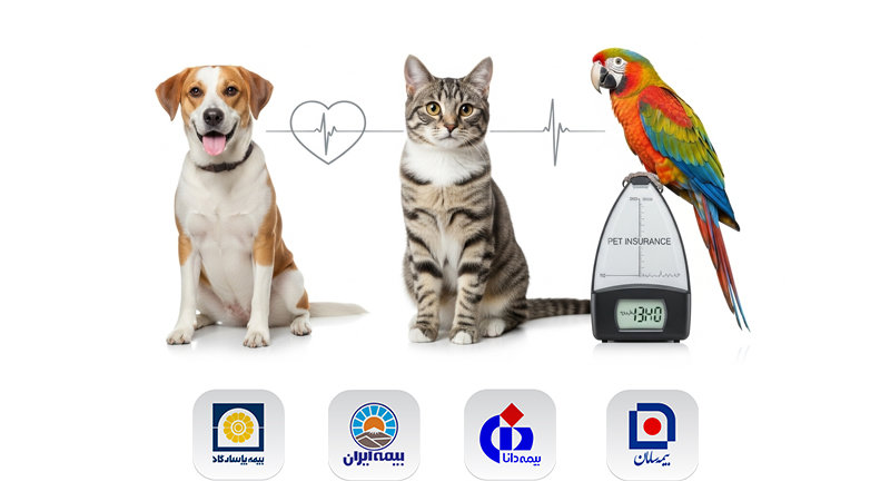 شرکت‌های ارائه کننده بیمه حیوانات خانگی 