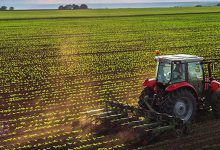 مشاهده سوابق بیمه روستایی و عشایری با کد ملی