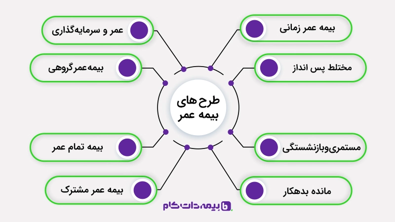 انواع بیمه عمر چیست؟